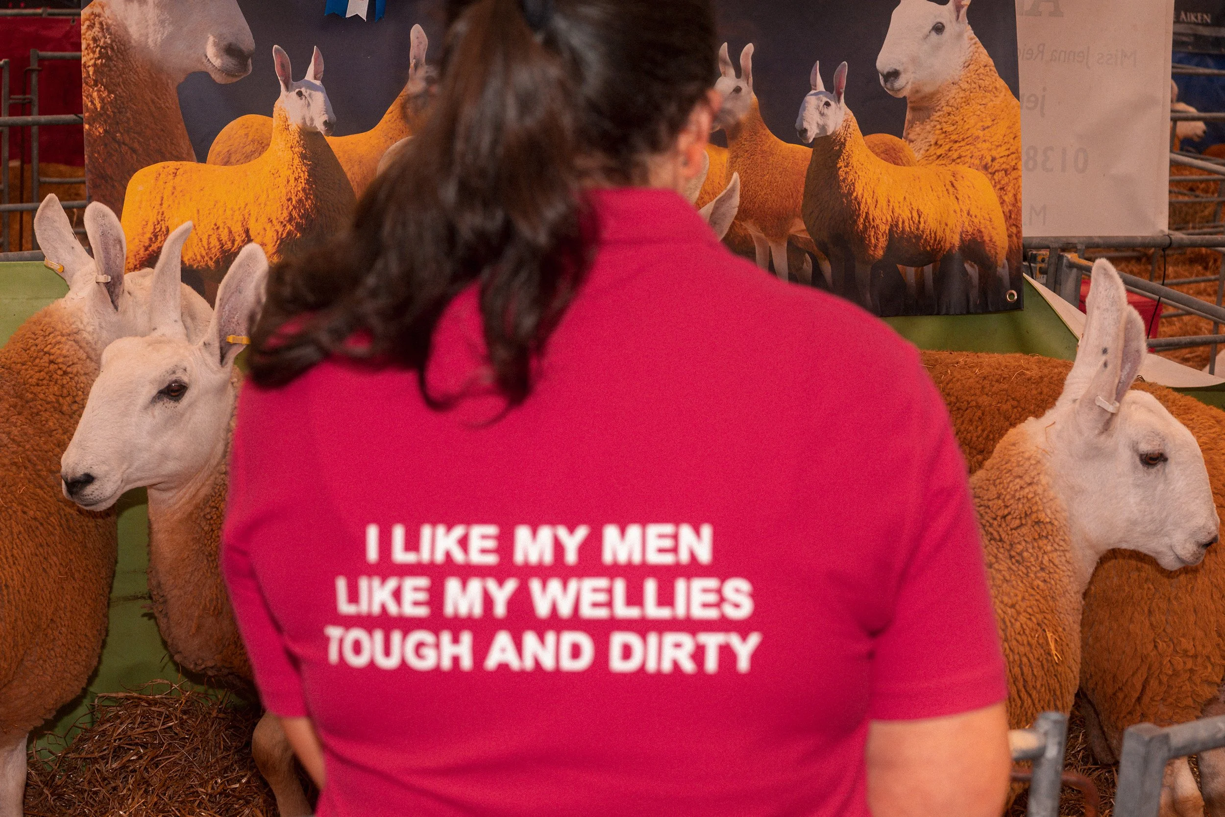 A woman in a pink T-shirt reading "I like my men like my wellies, tough and dirty" stands among sheep at an agricultural show.