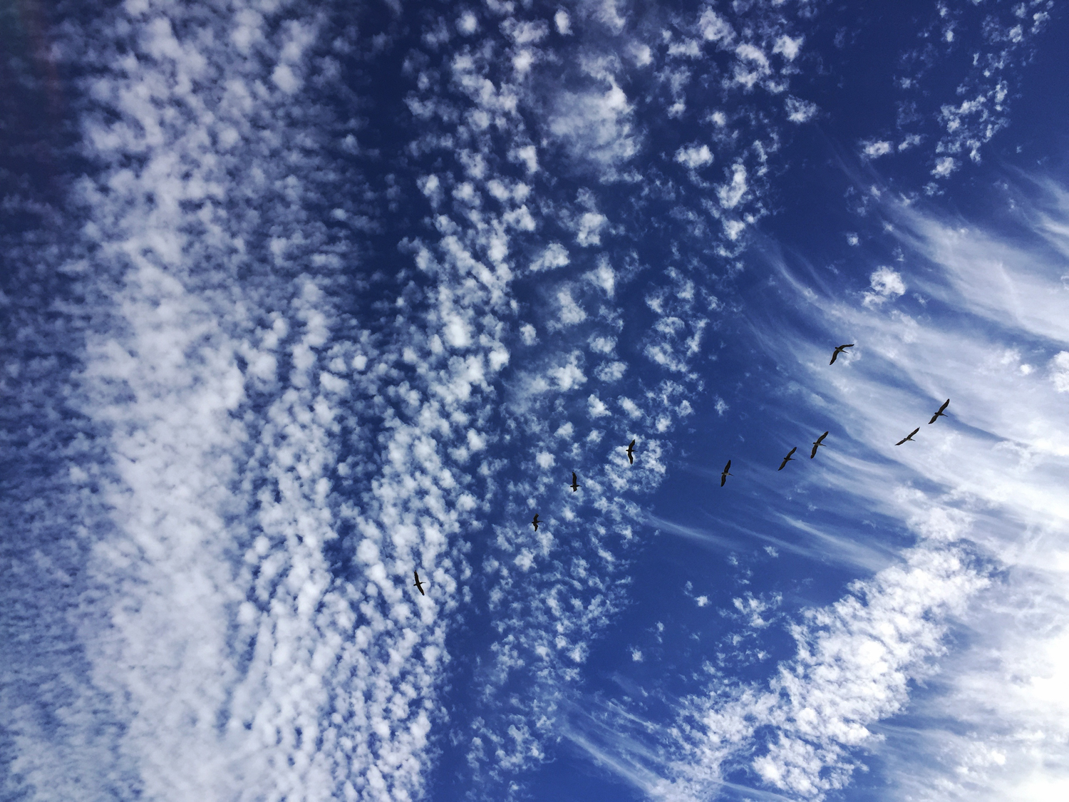 Birds flying high You know how I feel Sun in the sky You know how I feel... 