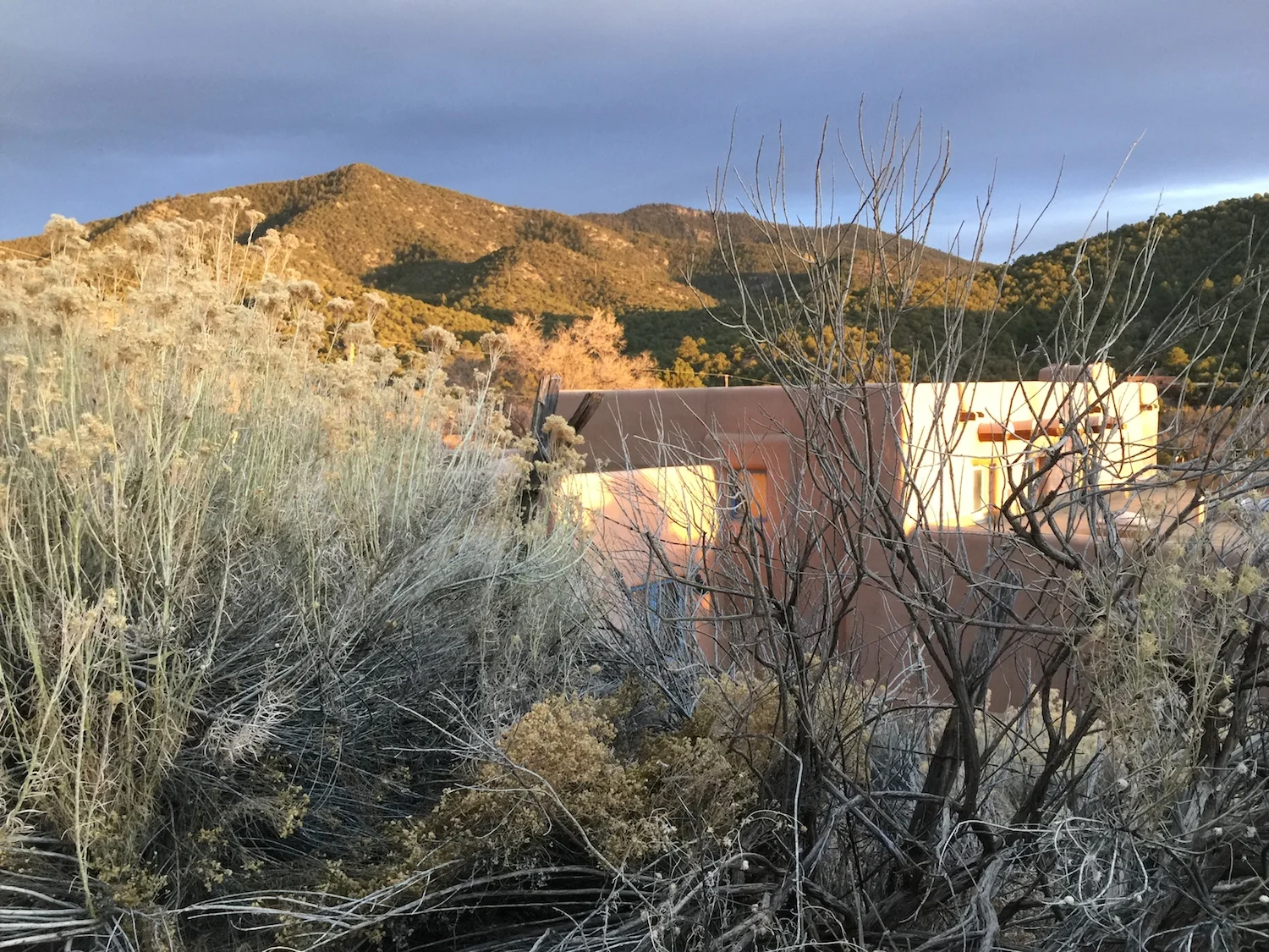 Walking on Cerro Gordo Road this evening.