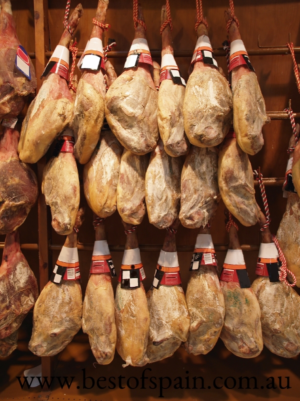 istock_000003583645small-1.jpg