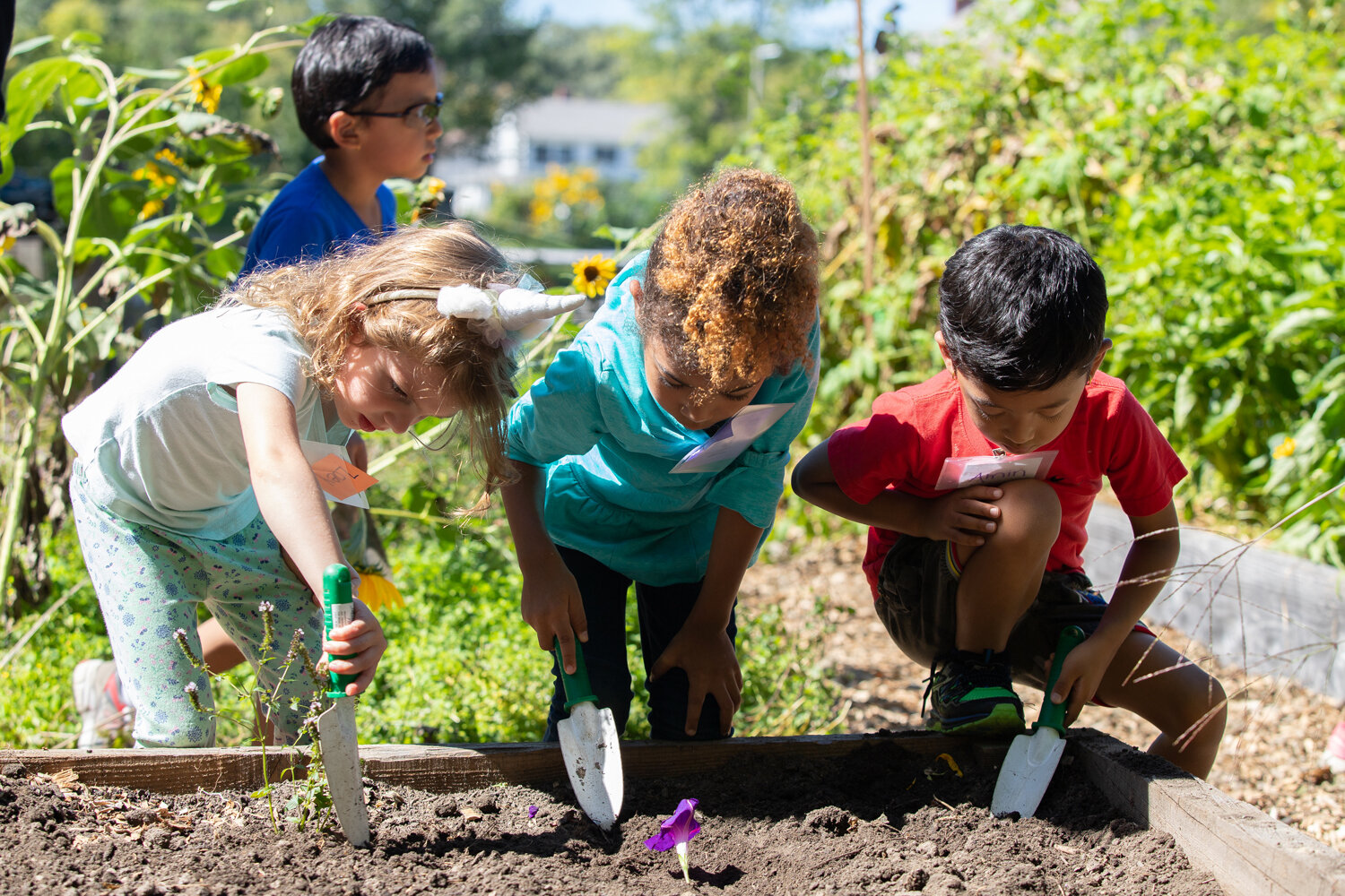 2018-September-Champlain-Elementary-Garden-Harvest-SMW-38.jpg