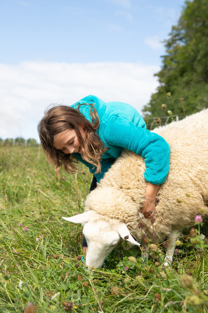 2019 September SA with Sheep SMW-4.jpg