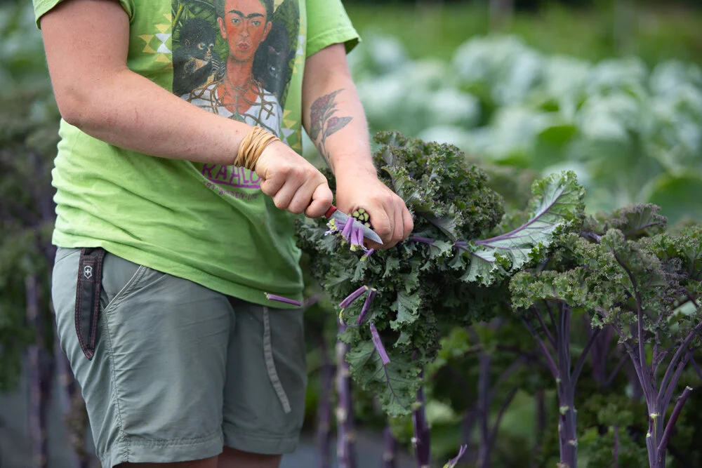 2020 July 20 Market Garden SMW-84.jpg