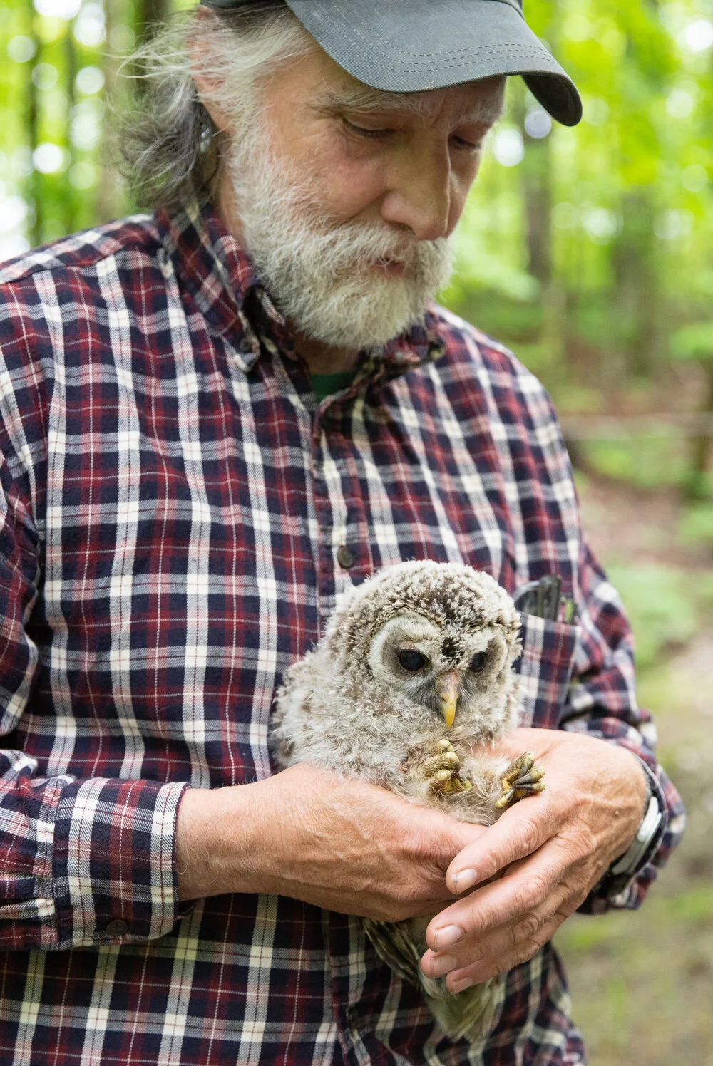 2019 May Craig with Barred Owlet SMW-6.jpg