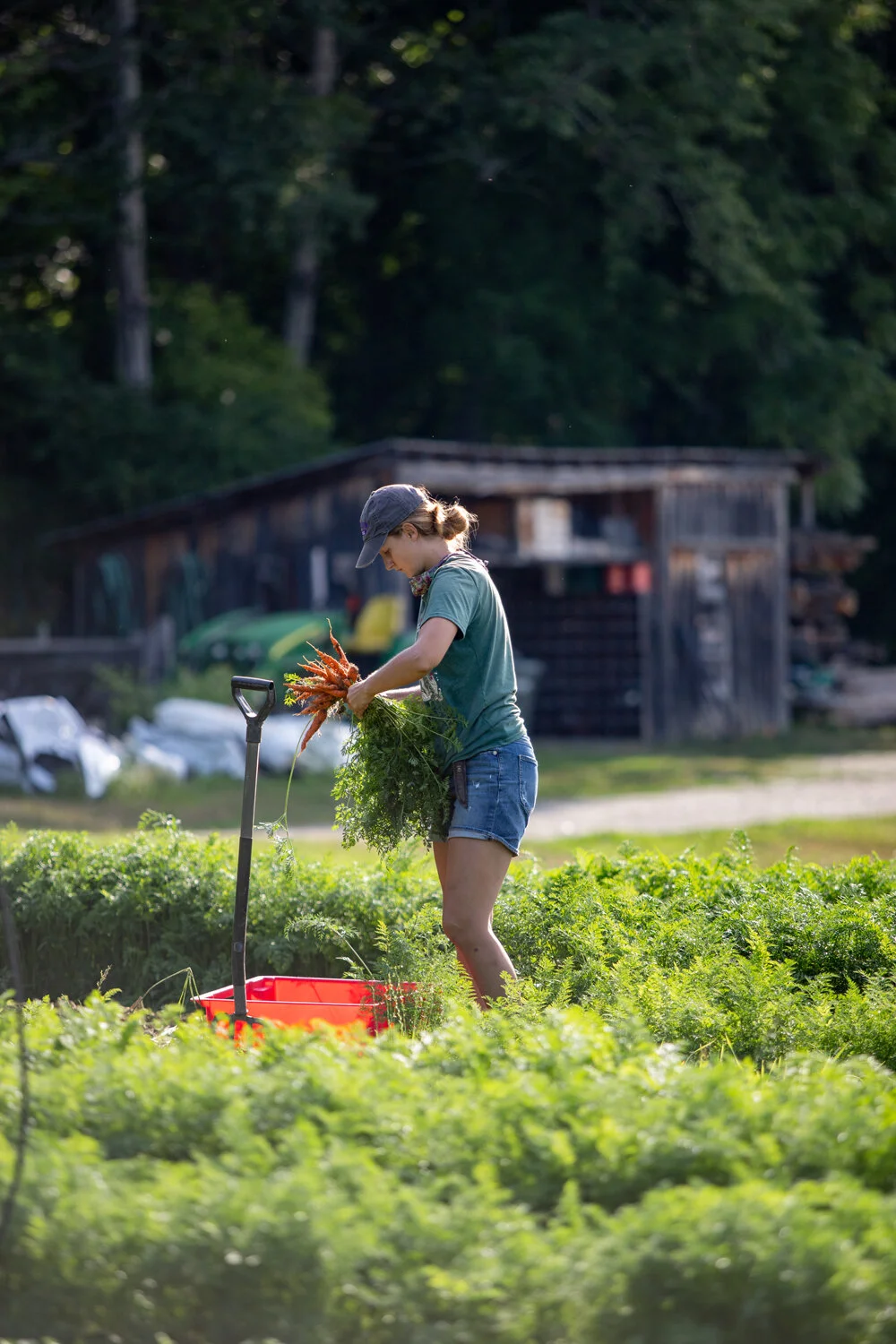 2020 July 20 Market Garden SMW-18.jpg
