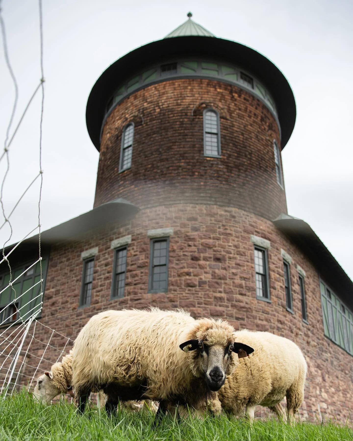 grazing beneath the turret 🏰