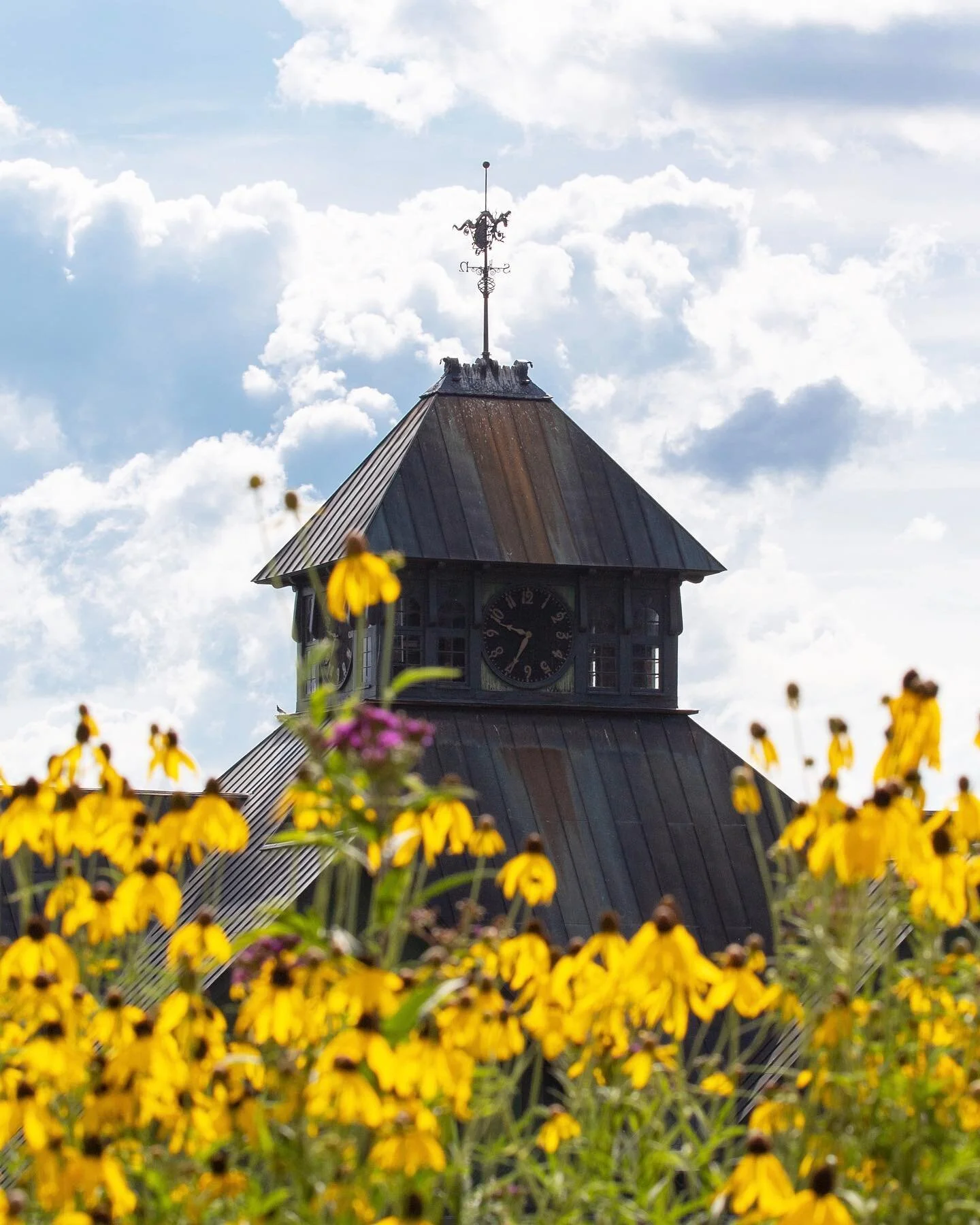 A Farm Barn popping up among the flowers 🤗