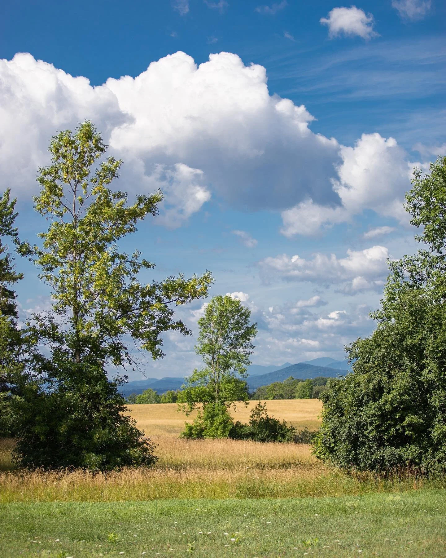 July 2020 &bull; A hot, hazy day below Adirondack Field at #shelburnefarms