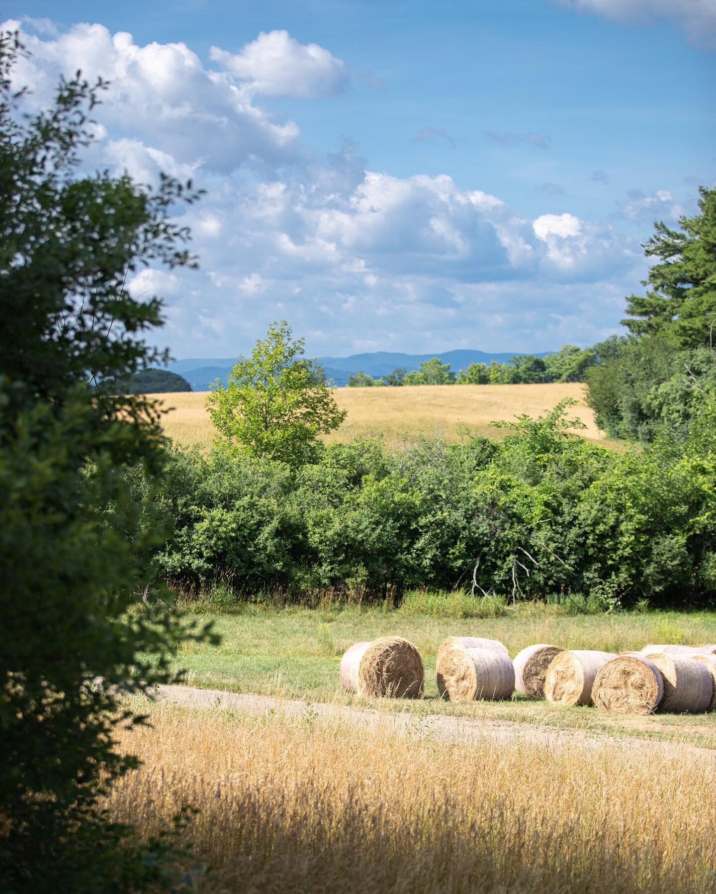 July 2020 &bull; A hot, hazy day below Adirondack Field at #shelburnefarms