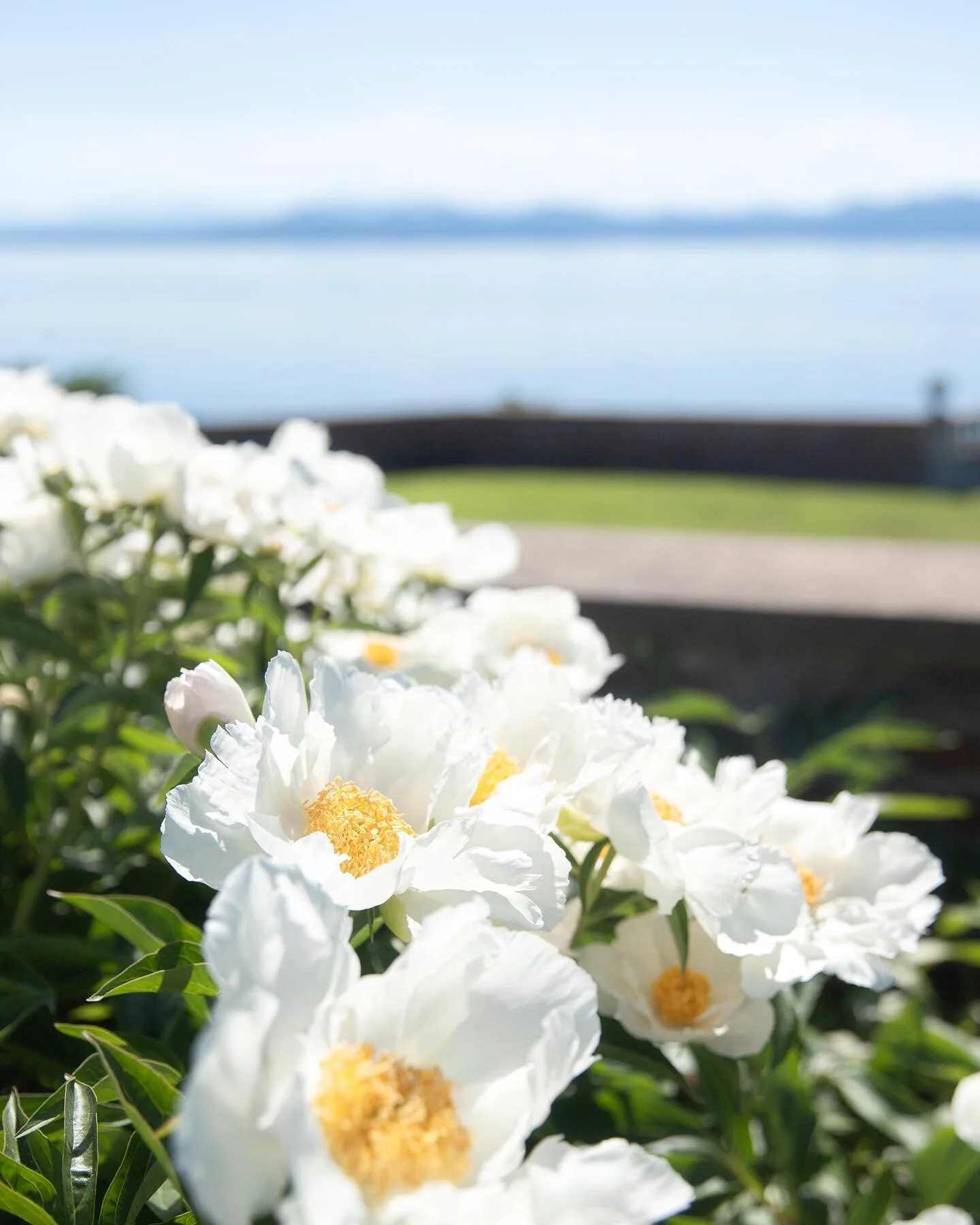June 2020 &bull; Formal Gardens at #shelburnefarms