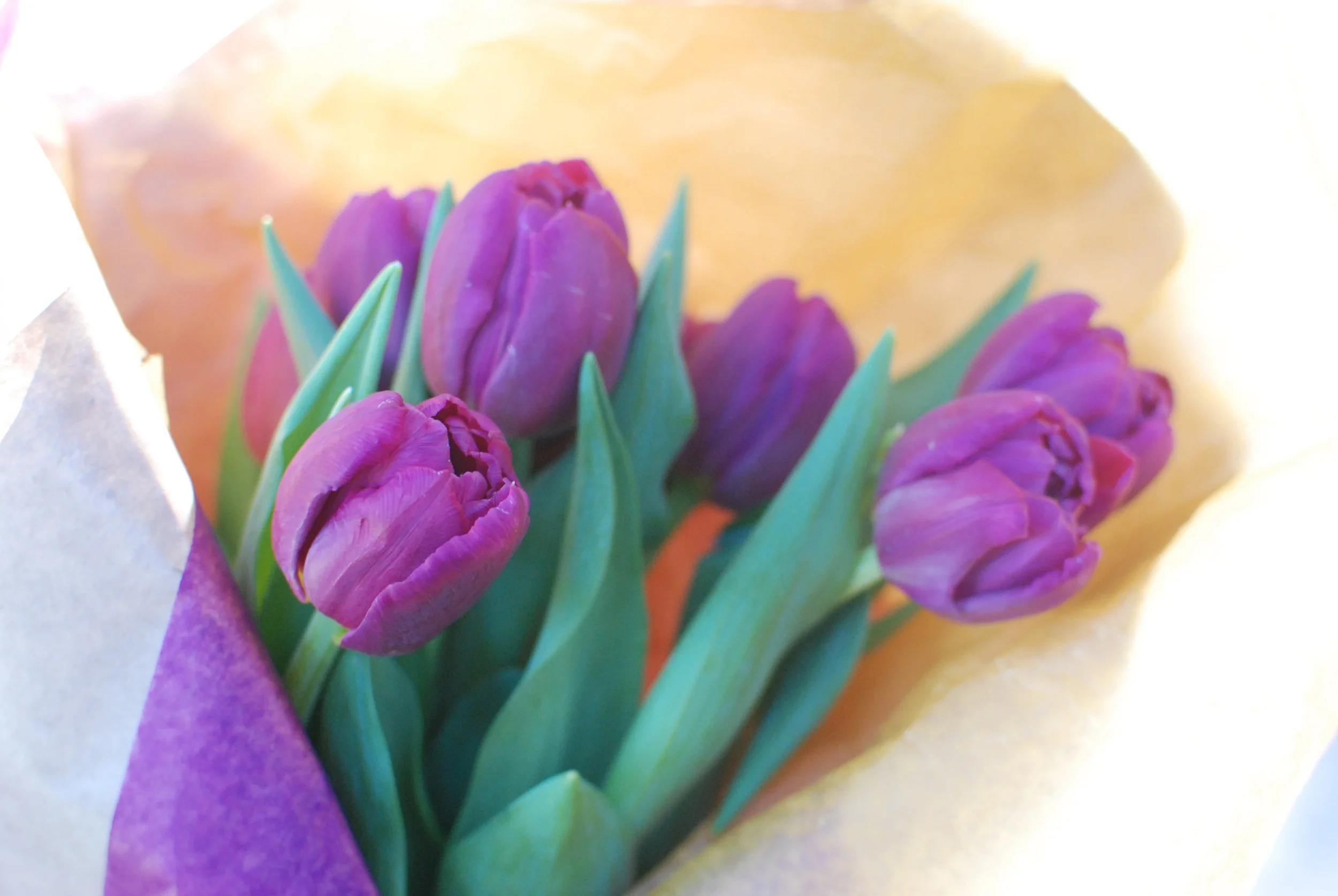 Love from the Girl Scouts