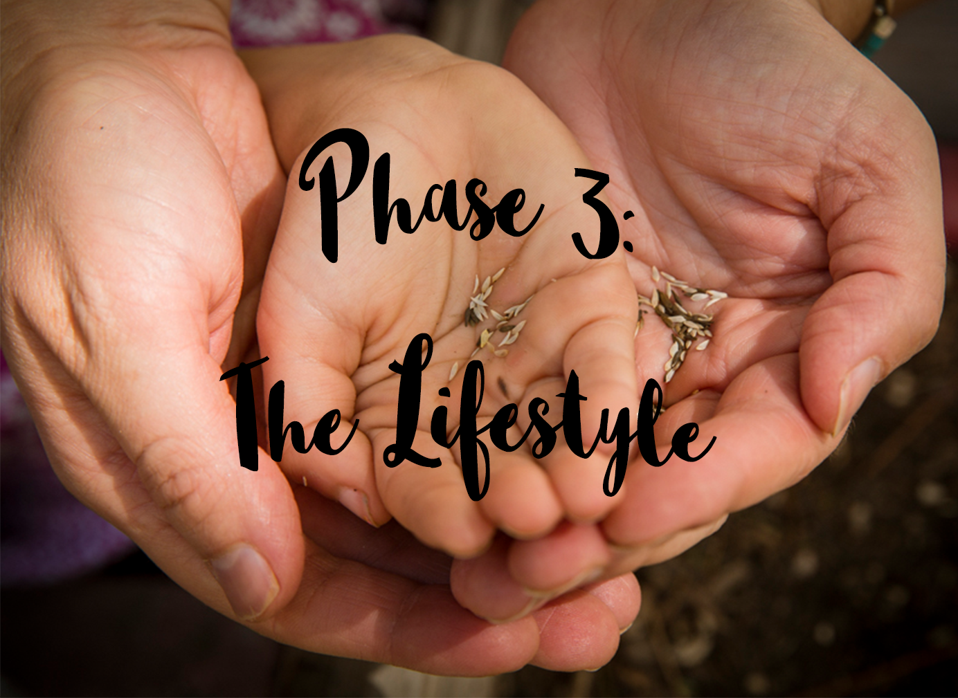 Phase 3.png