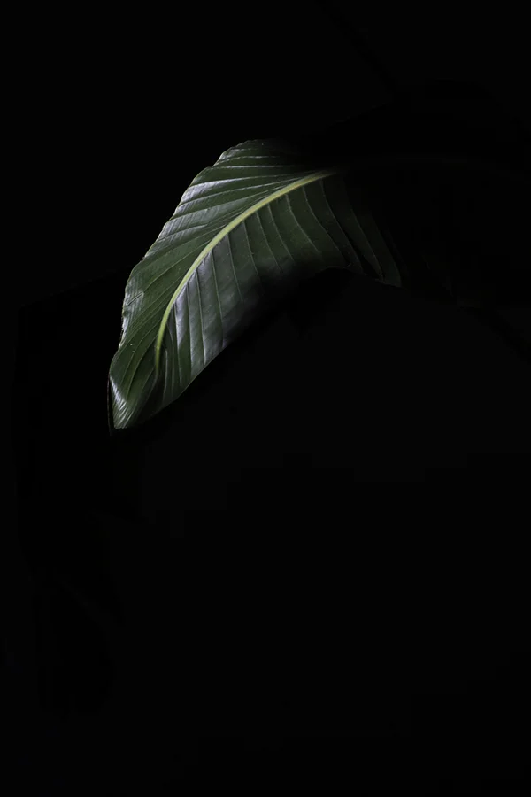 Long_Beach_Light_Test_3.jpg