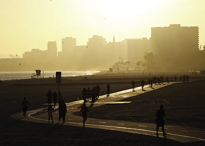 _MG_4510-Edit_WEB.jpg