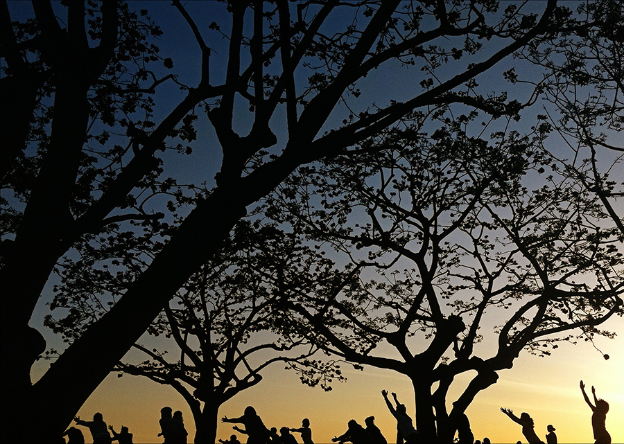 TreeWorshipers_editweb.jpg