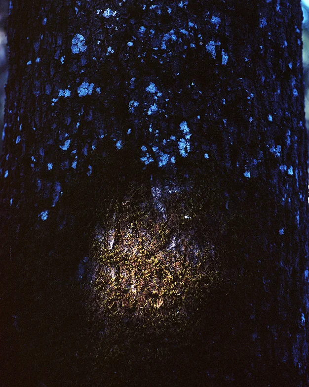 NW_Show_HR014_web.jpg