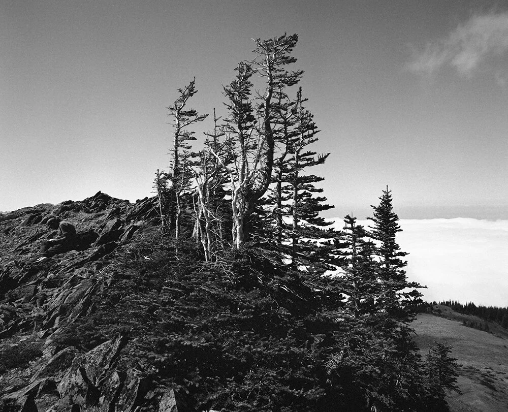NW_Trip_2017_092_web.jpg