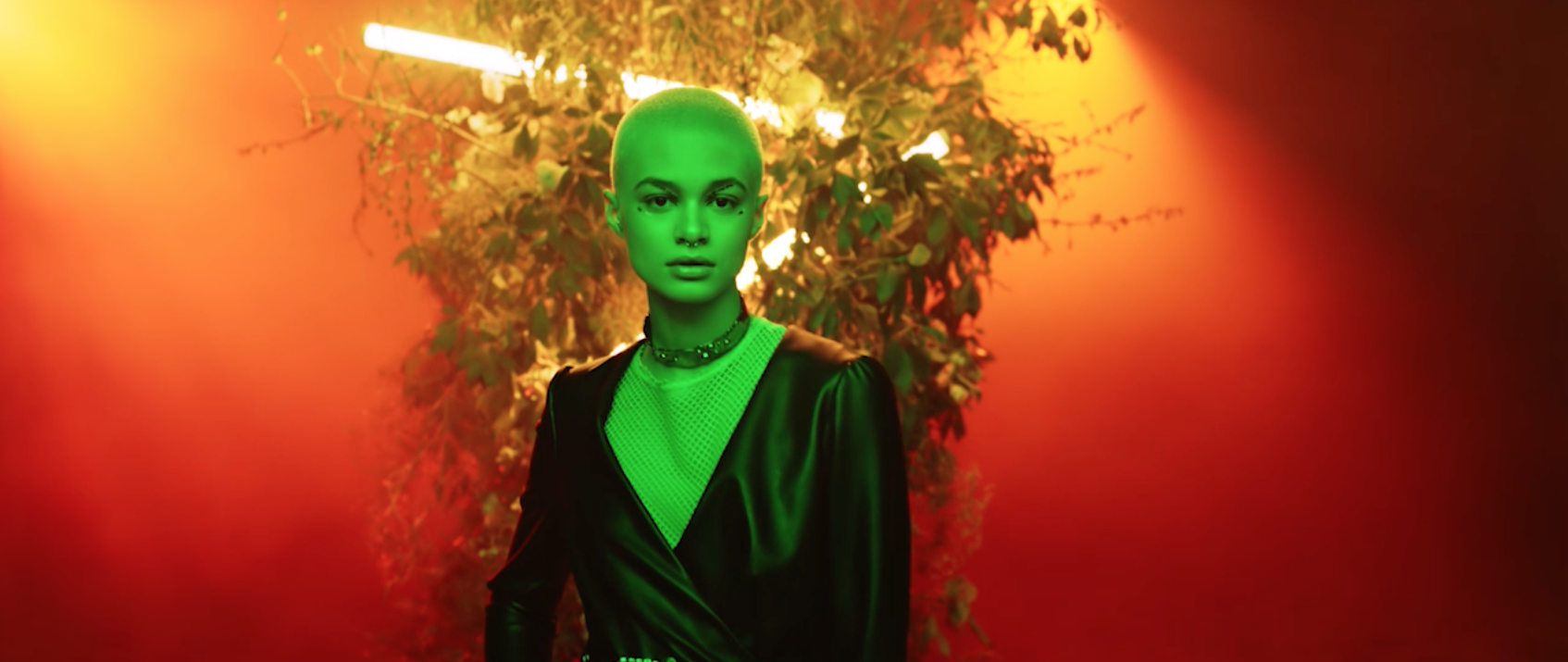 screen shot 2019-07-08 at 11.58.57 am.PNG