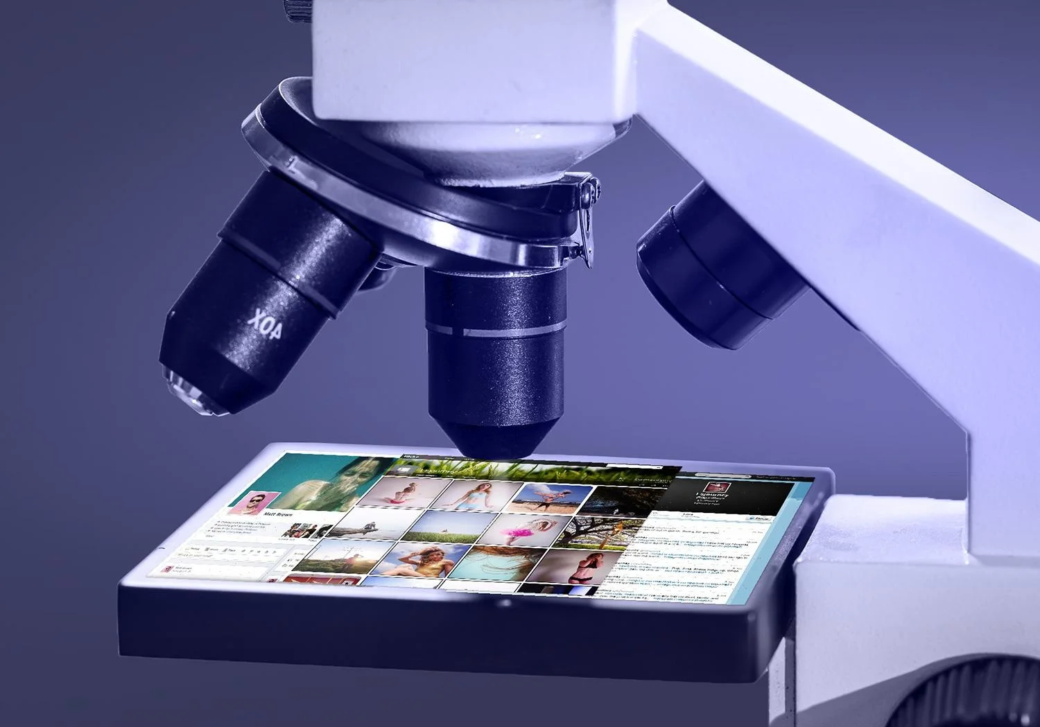 Life Under the Microscope