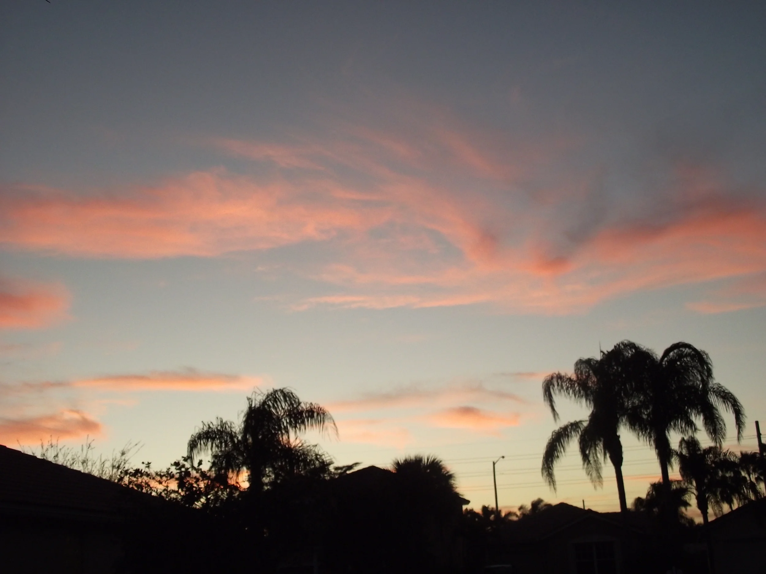 DSCF2145