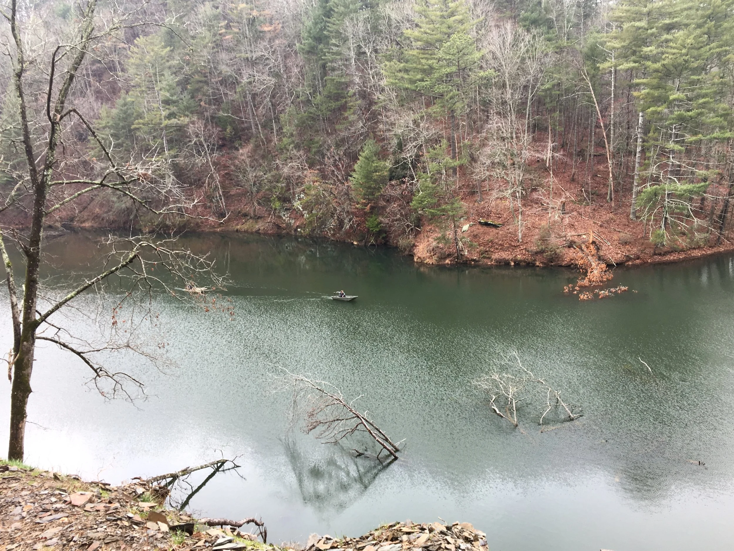 Looking Beauty in the Face 