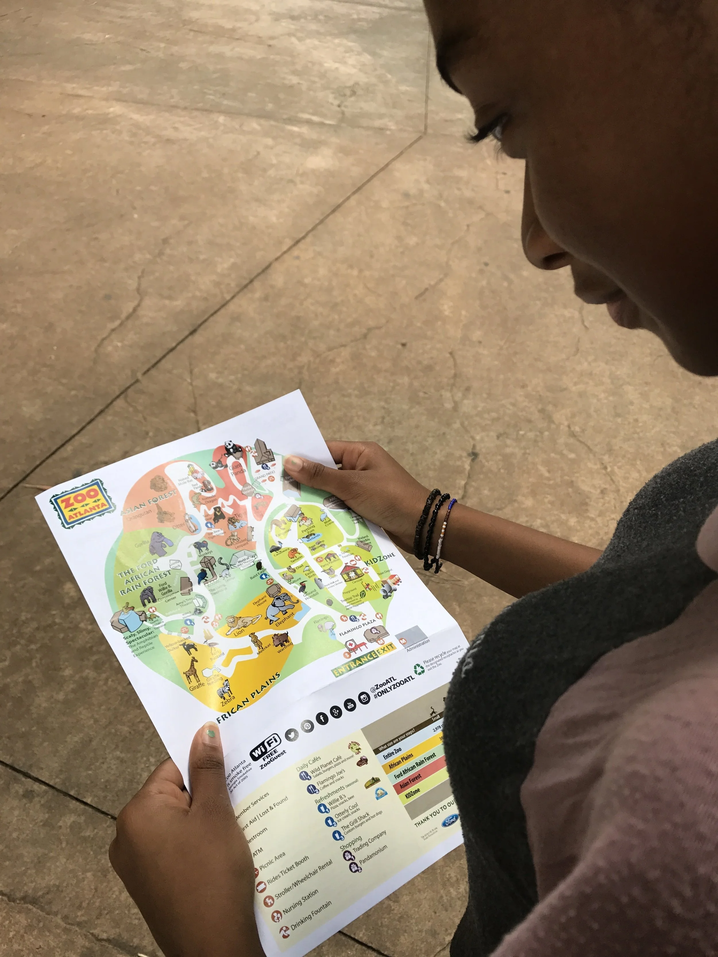 Good Day Zoo Atlanta 