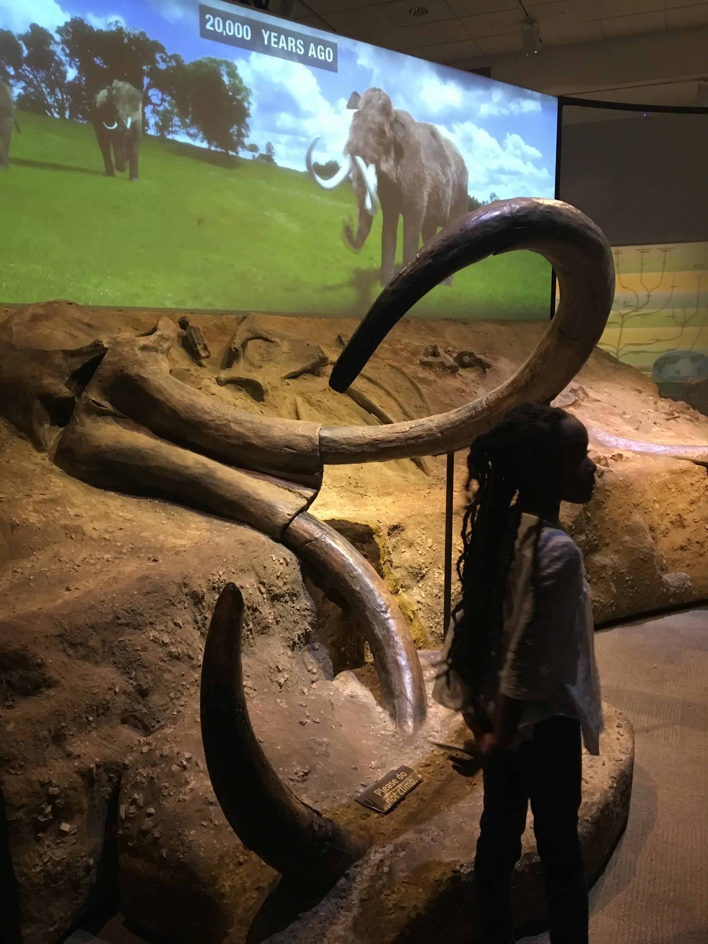 Natural History: Life on the Wild Side 