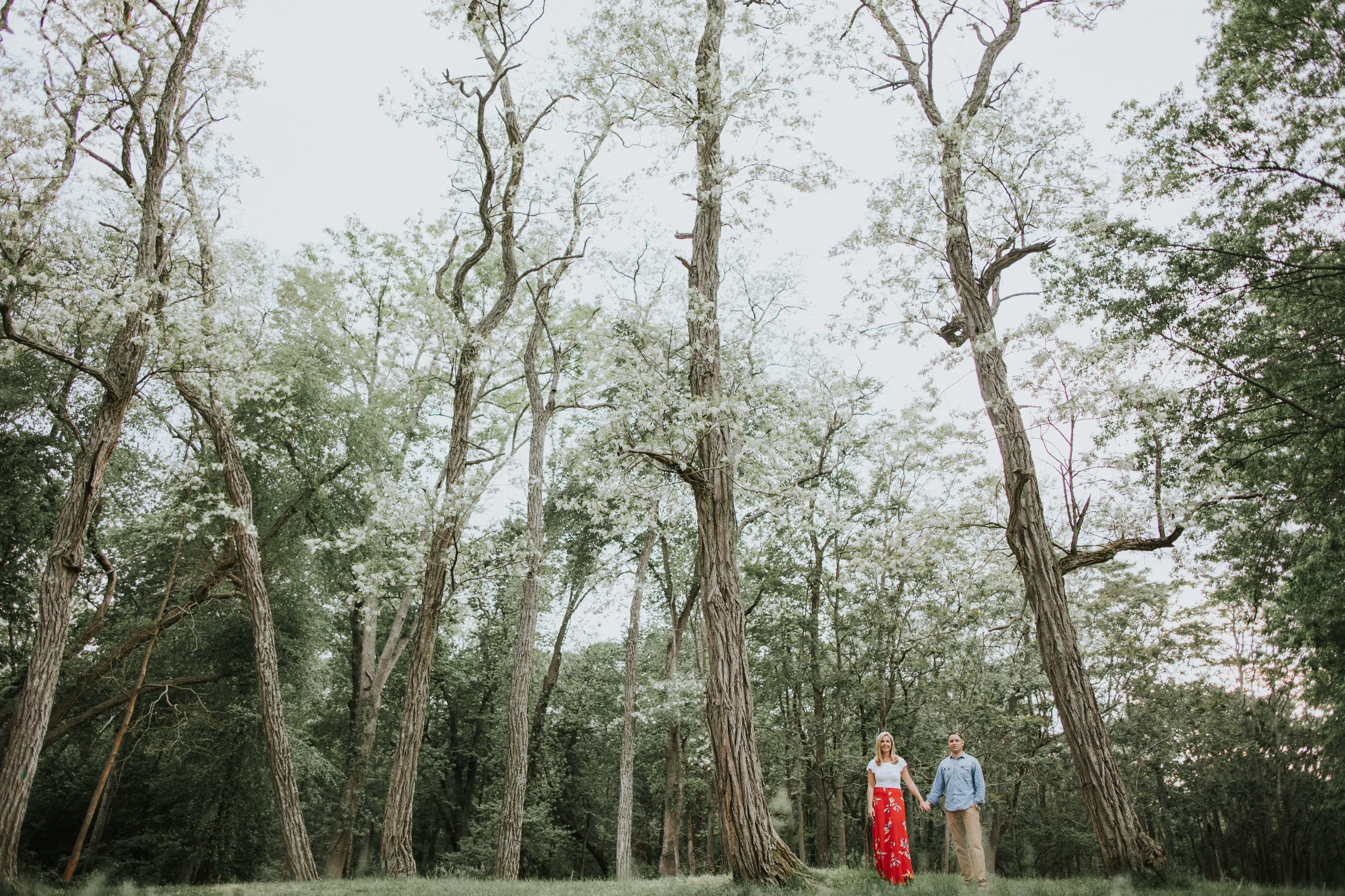 Twisted-Oaks-Studio (46 of 57).jpg