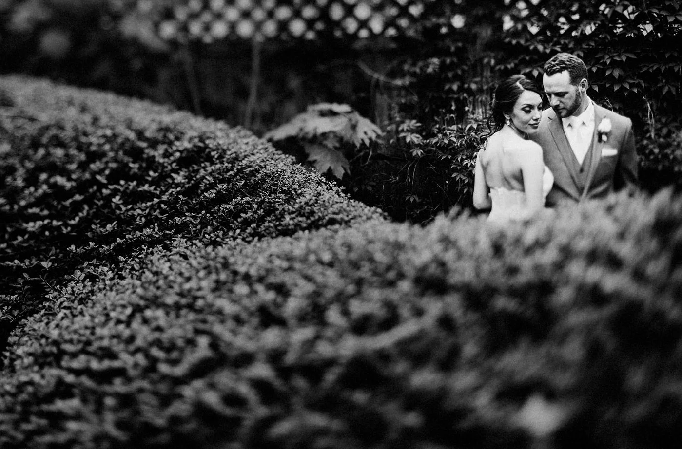 Twisted-oaks-studio-associate-DP-portfolio-100 (13).jpg