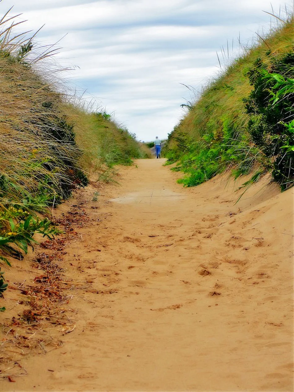 Cape Breton Beach Trail.jpg