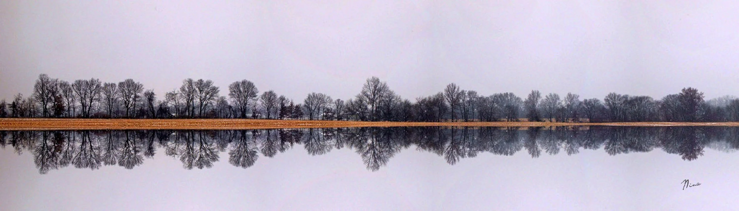 11-26-2013signina.jpg