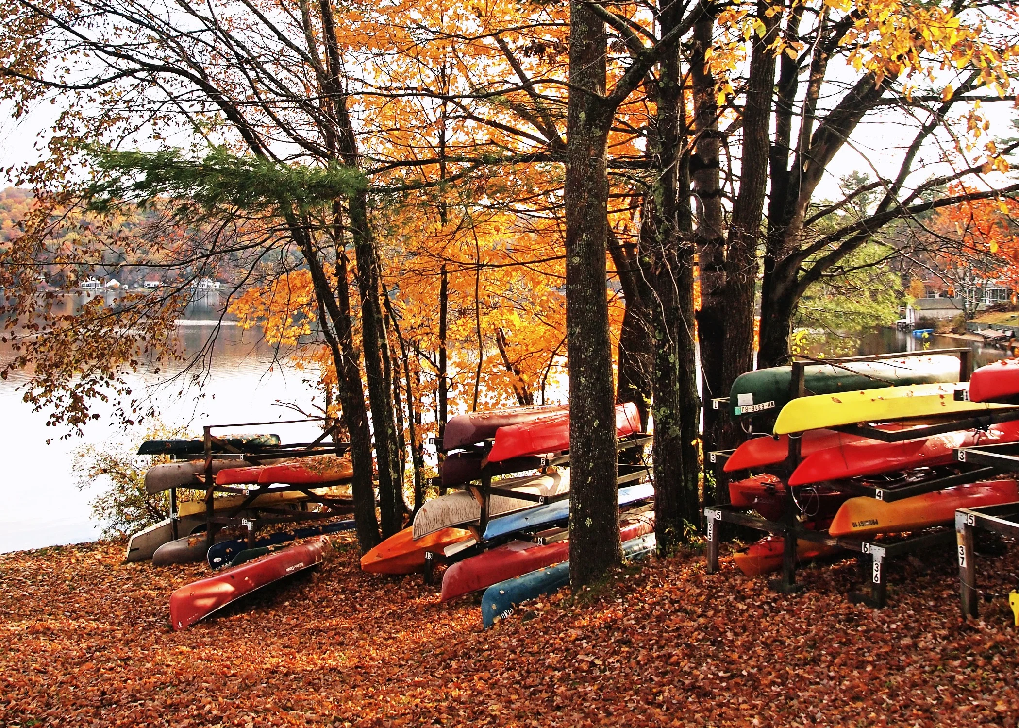 canoes.jpg