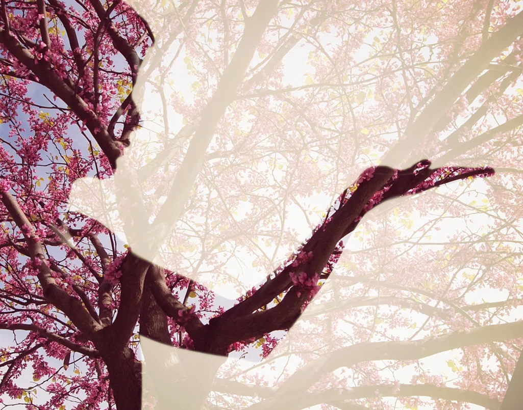 Spring Dryad