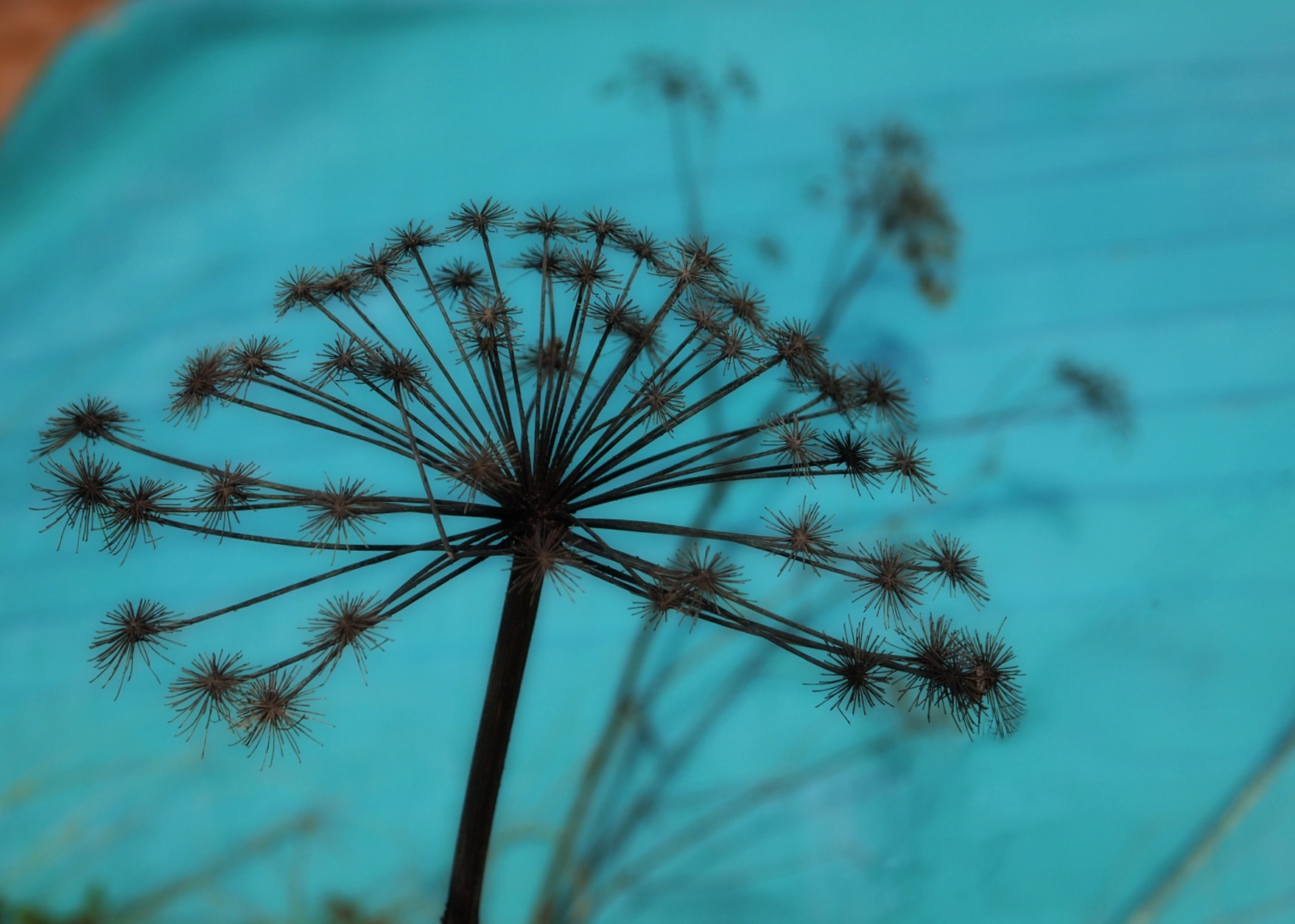 Memories of Summer with Blue Boat