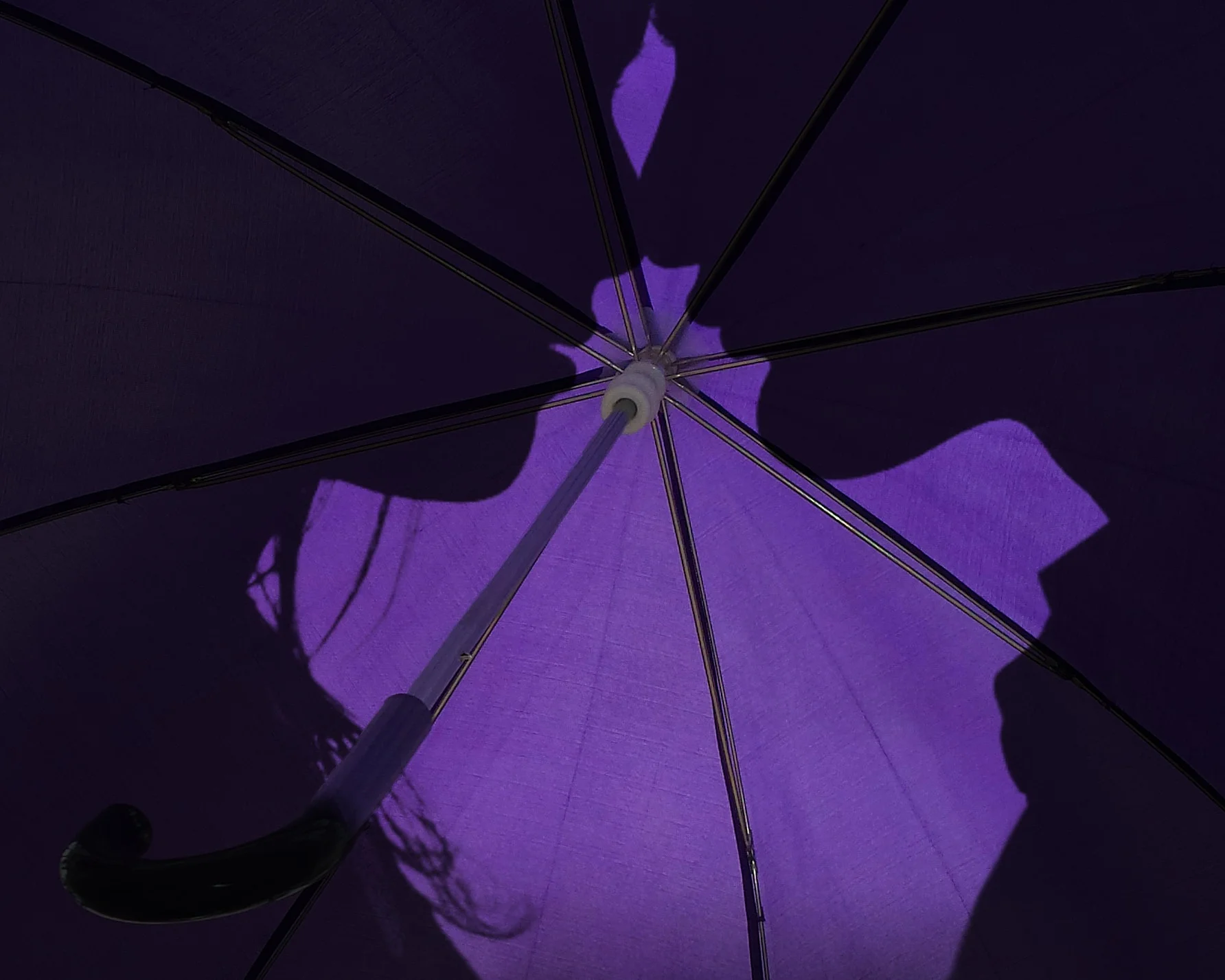 CoupleUmbrella.jpg