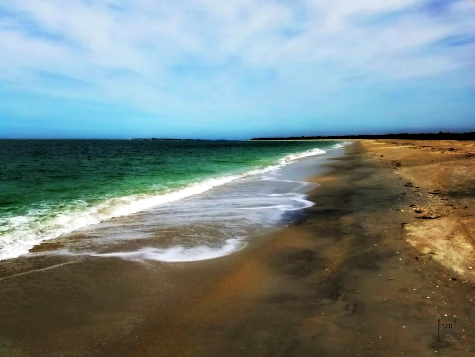 The Beach at Cayo Costa