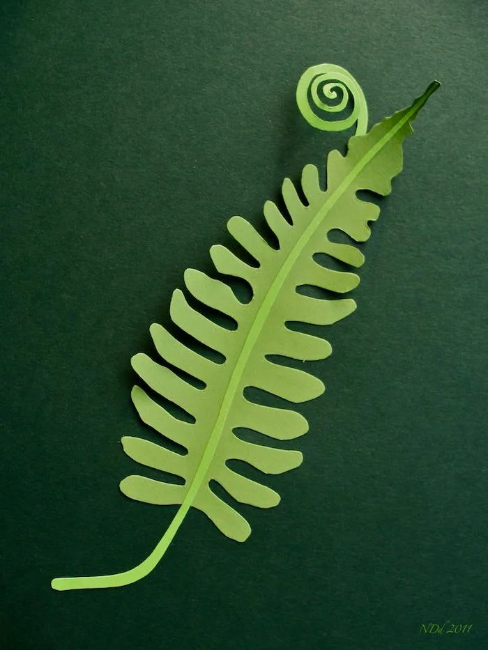 fern.jpg