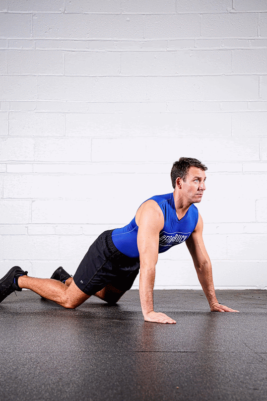 Scapular Push Up.gif