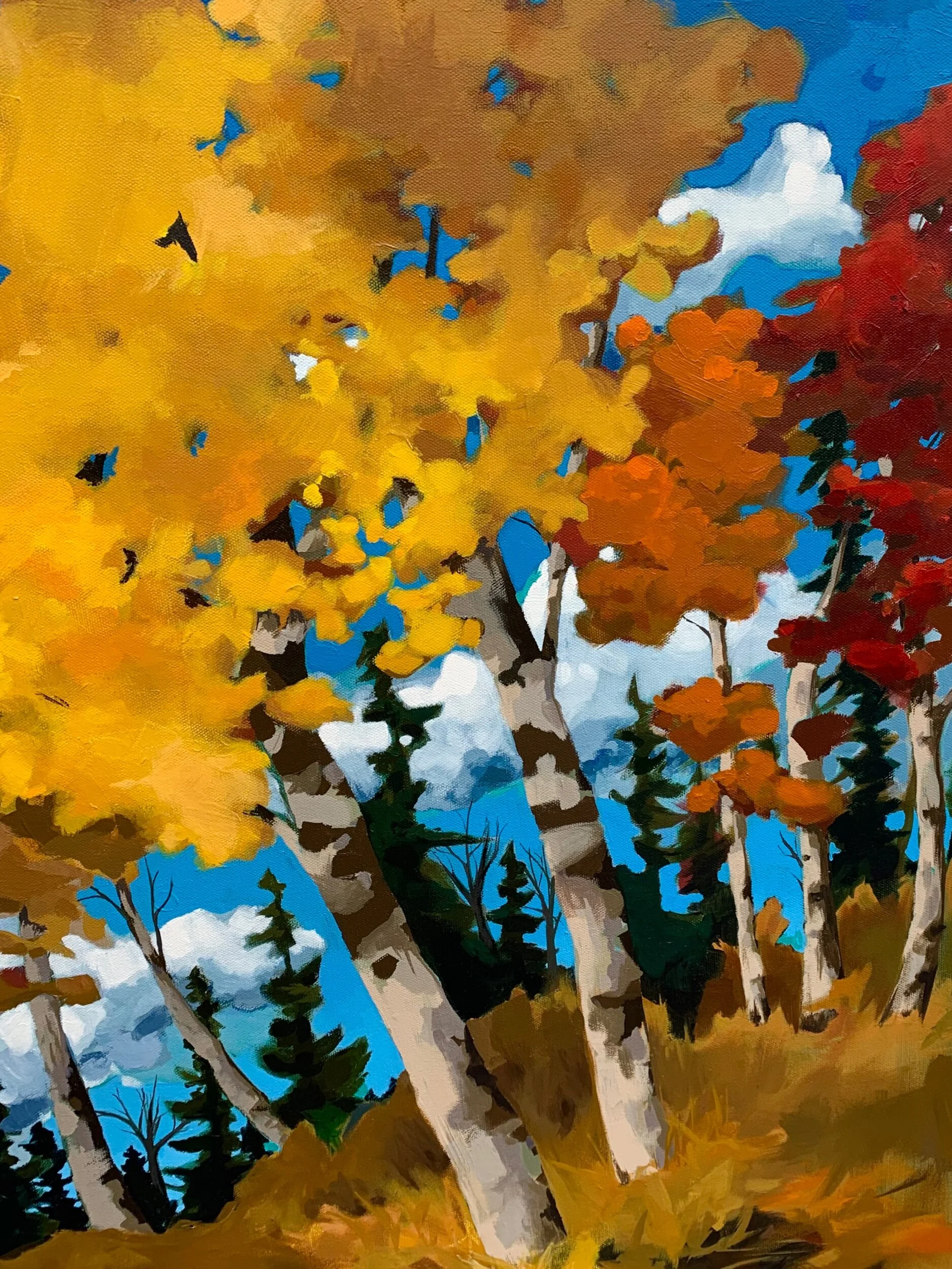 77A05371-098F-438D-959B-41B2F2A3D6FA