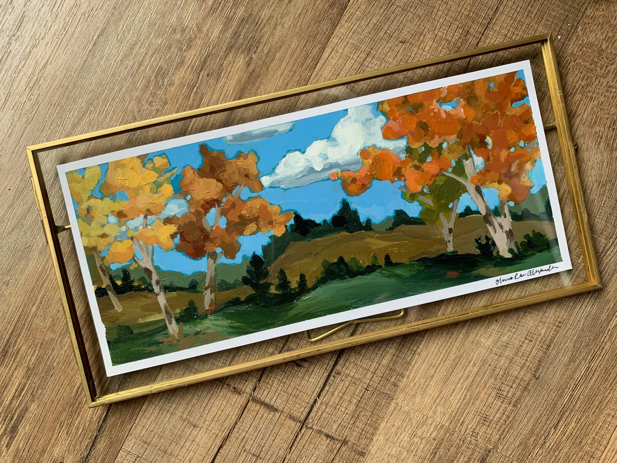 Hilly Fall Birch Scene