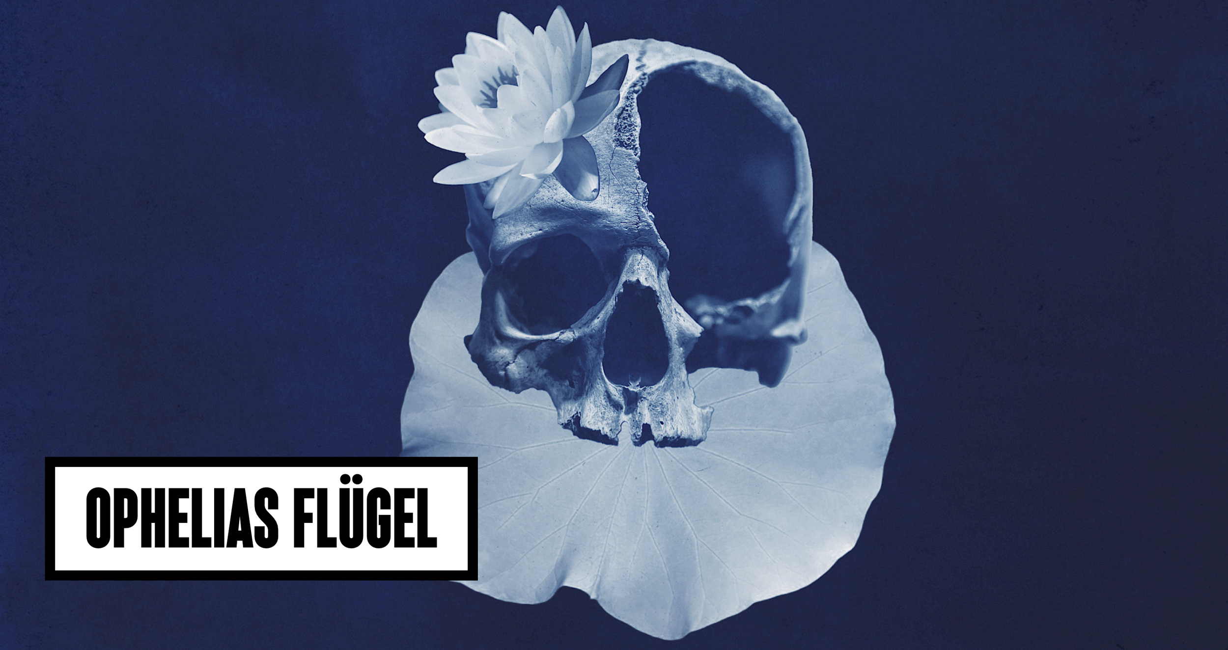 Ophelias Flügel | Bühnen Bern
