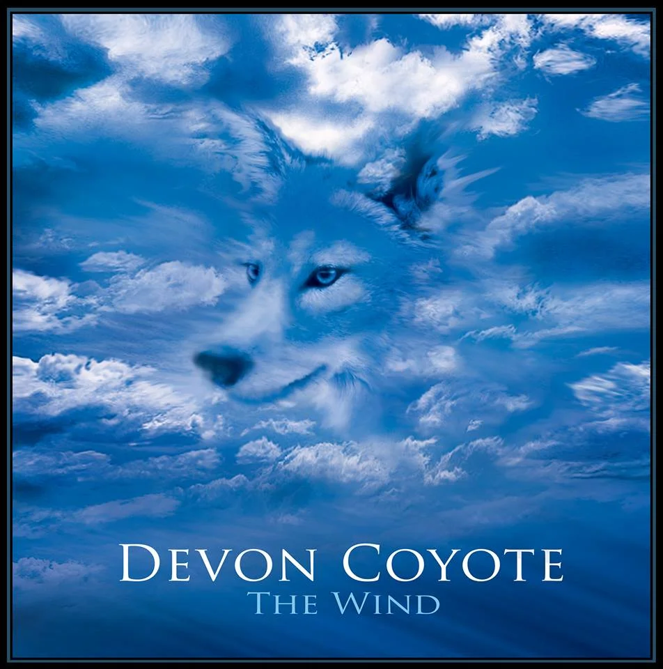 TheWind-cover.jpg