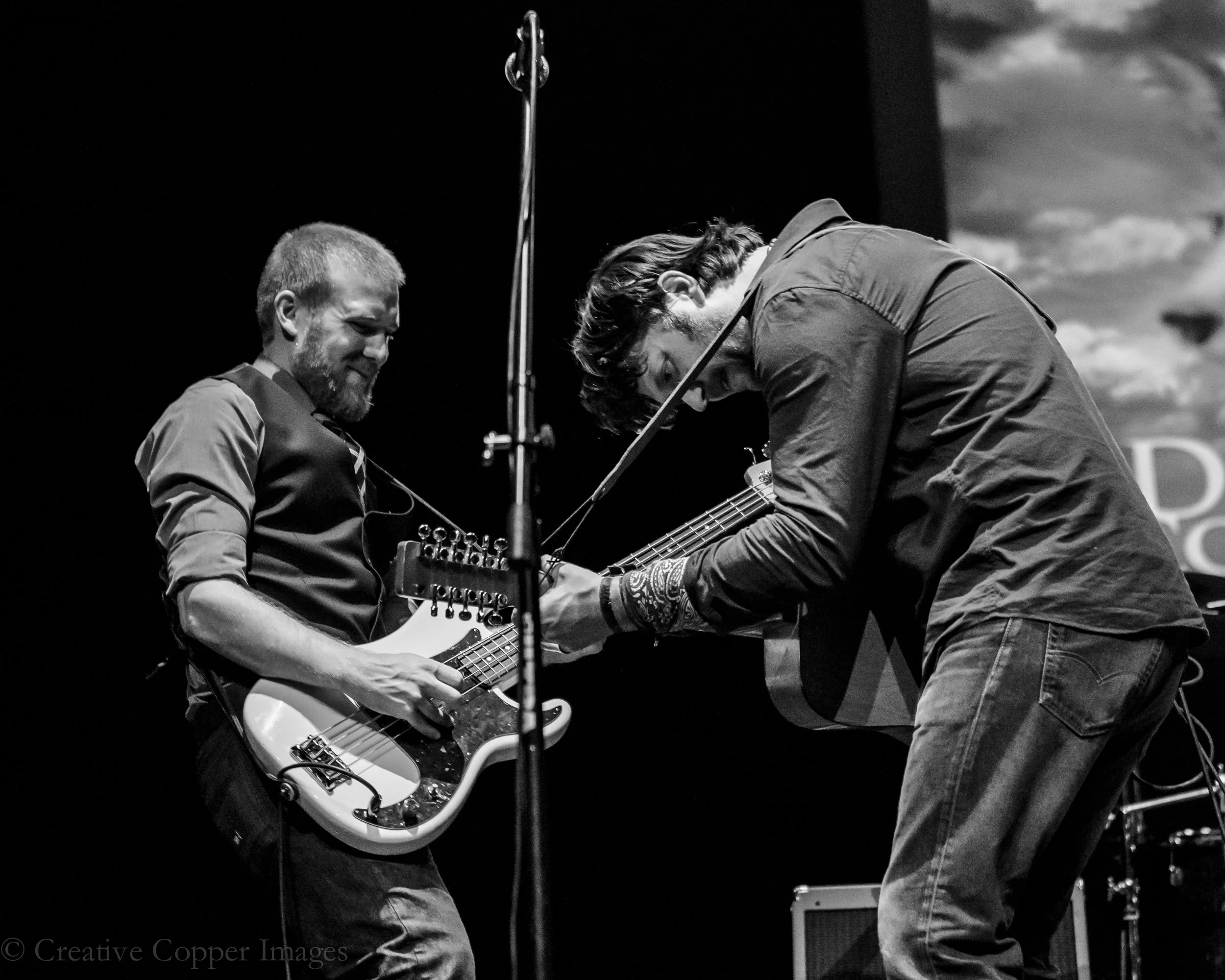 Devon Coyote D'Arcy Booth.jpg