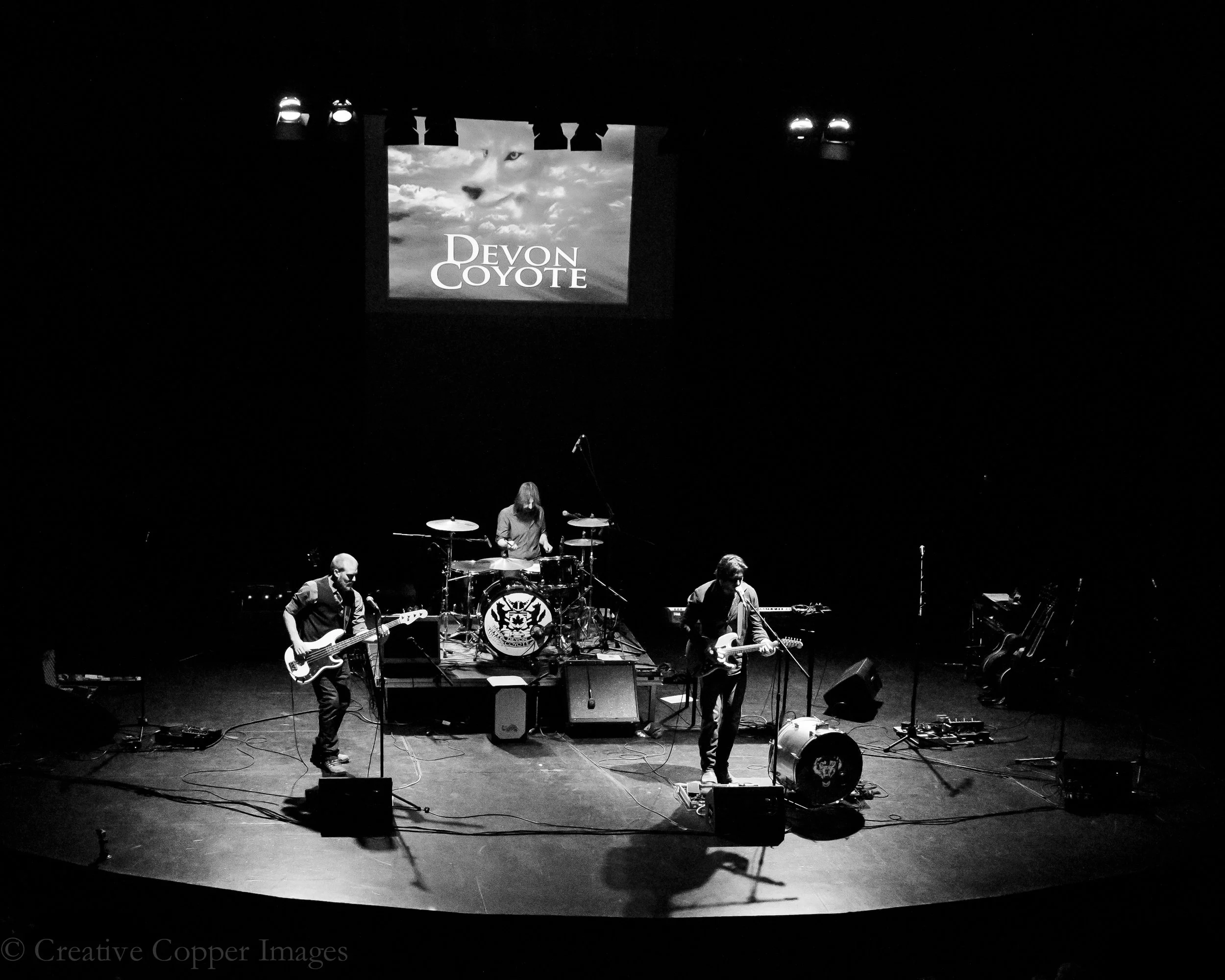 Devon Coyote Live.jpg
