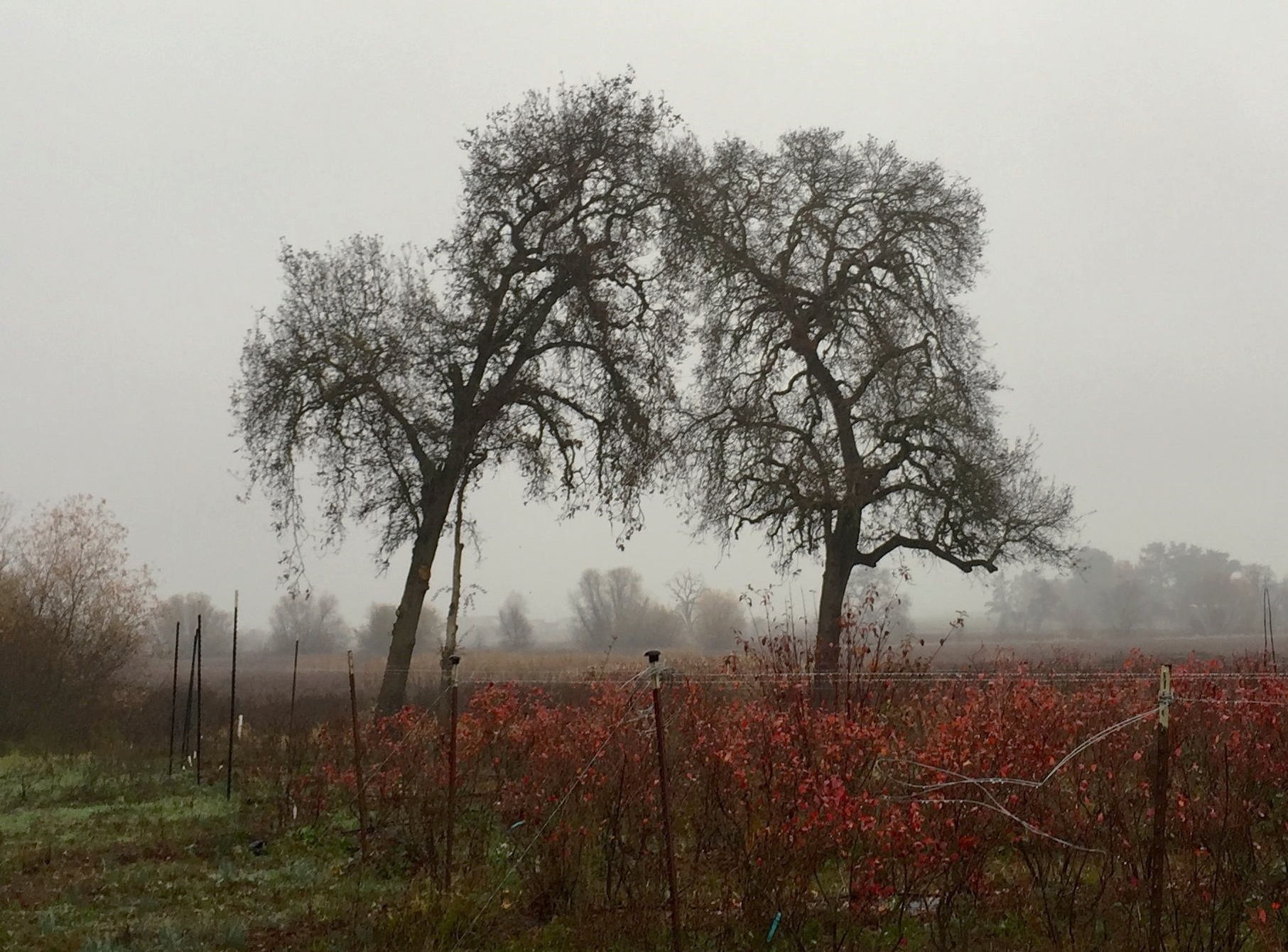 "Nature is not a place to visit. It is home." Gary Snyder