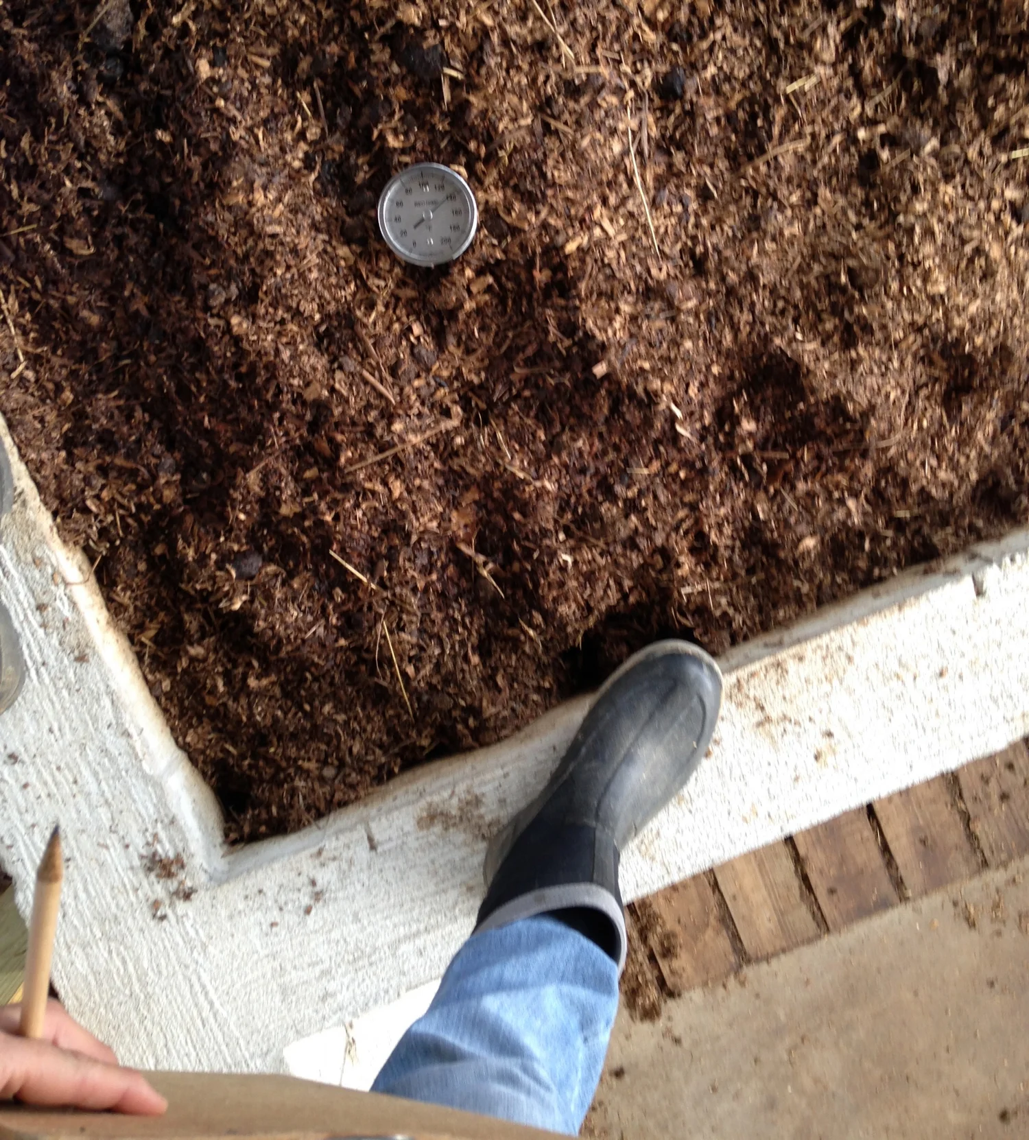 composted horse manure — Herricks Herbs & Heirlooms