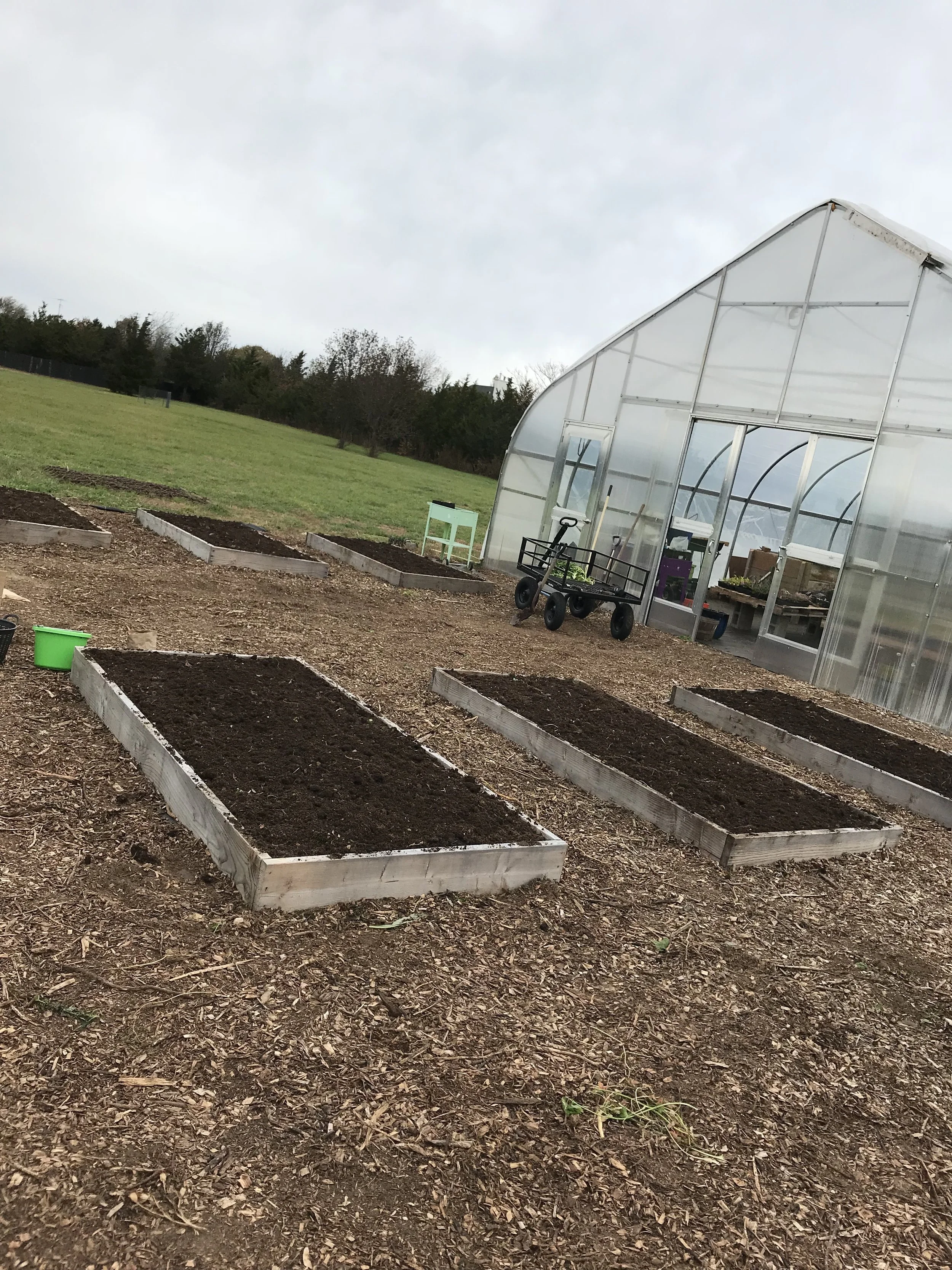 DIY Raised Bed Workshop