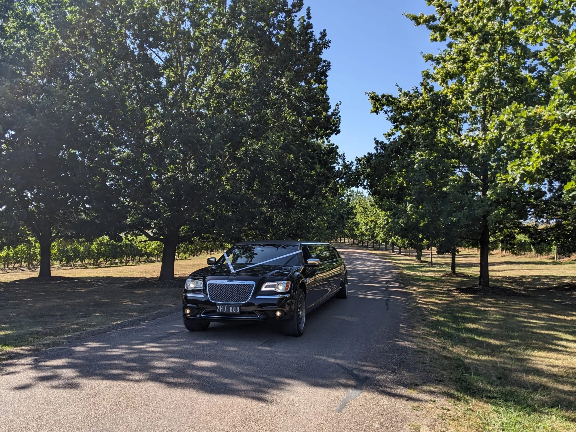 Enrik Limousines