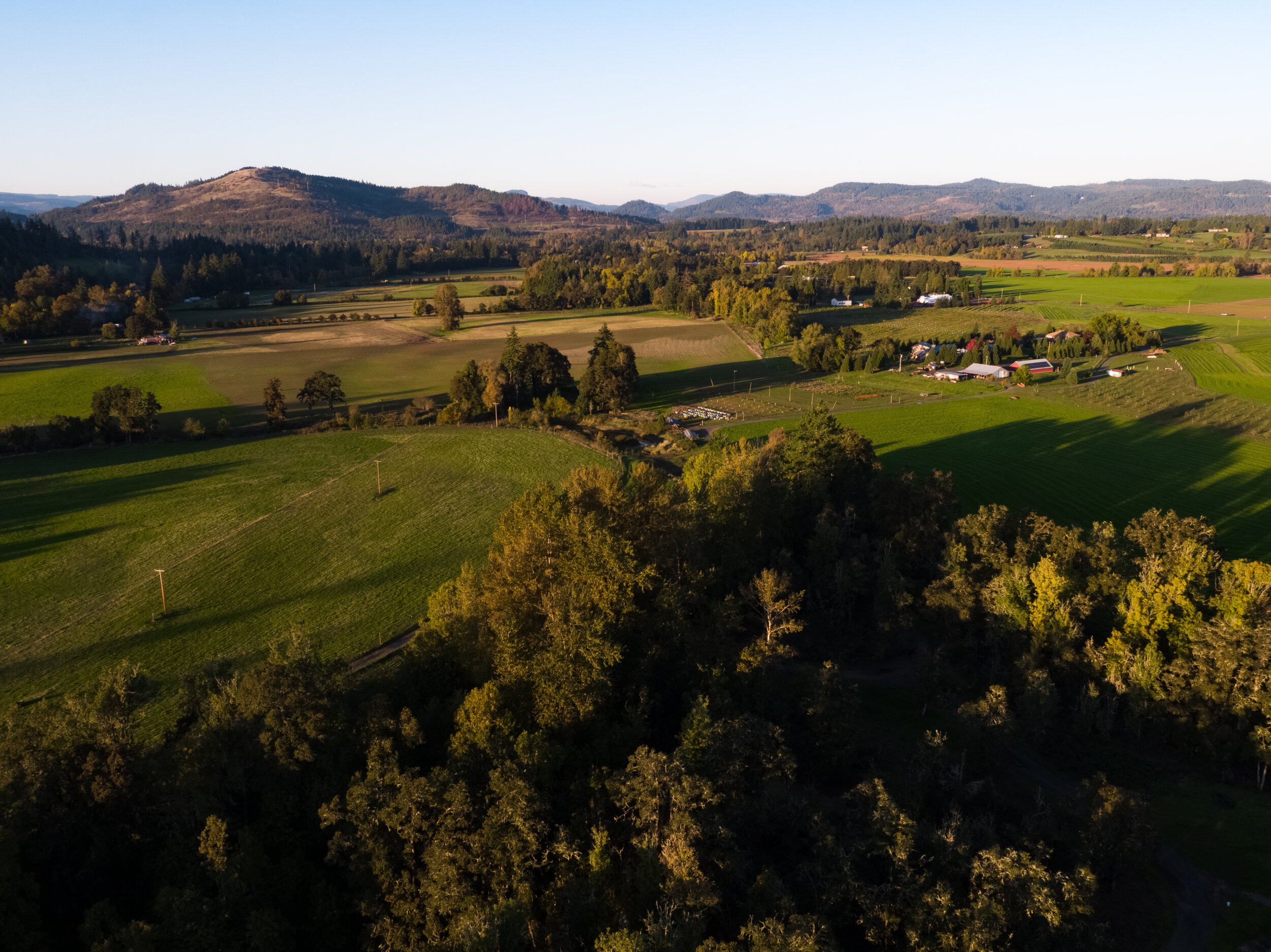 My Brothers' Farm