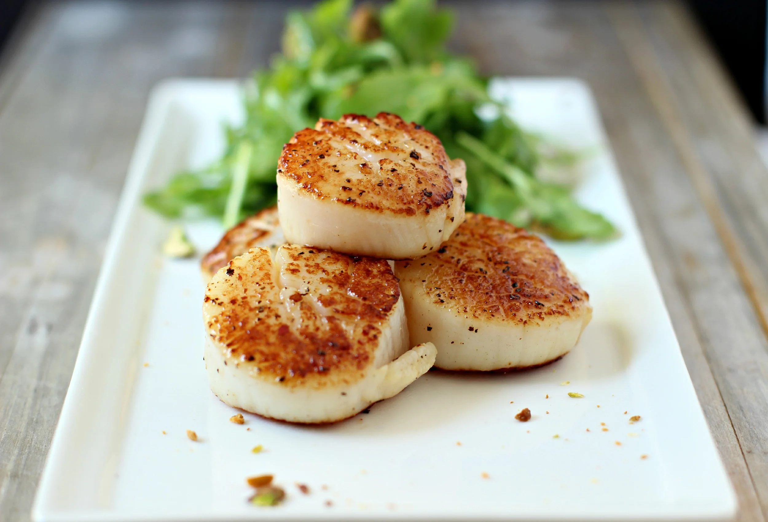 scallops-065.jpg
